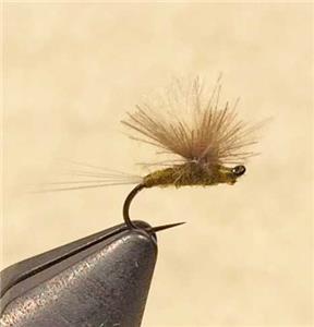 CDC Direct Hackle BWO